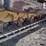 deere-1050-p-tier-image-68