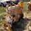 minneapolis-moline-550-power-unit-image-4