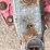 #4092-•-turbo-turf-hydro-seeding-system-water-tanks-image-33
