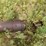 40’-speedking-auger-image-2