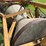 #45623-•-levee-packer-image-11