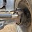 2018-case-ih-magnum-310-image-23
