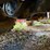 volvo-l120c-image-14