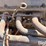chevrolet-454-image-8