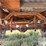 s/a-pickup-box-trailer-image-16