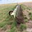 john-deere-400-image-8