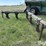 john-deere-e0090-image-5