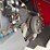 2022-massey-ferguson-2270-image-56