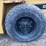 #4048-•-cat-compactor-image-9