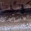 bobcat-e60r2-image-17