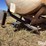 wylie-200-image-9