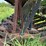 great-plains-solid-stand-20-image-12