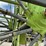 2012-claas-liner-2800-image-19