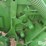 2021-john-deere-c500-image-20