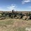 quinstar-fm5-35-image-1
