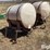 wylie-200-image-3