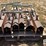 orthman-cultivator-shields-image-6