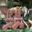 john-deere-4239t-image-31