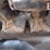 bobcat-e55-image-16