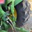 john-deere-6410-image-26