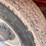 royer-466-image-47