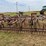 22’-graham-hoeme-chisel-image-22