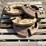 john-deere-40-image-6