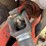 oswalt-320-image-12