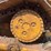 2022-caterpillar-d5-lgp-image-10