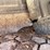 #4013-•-2000-quad-axle-mack-dump-truck-(has-wi-title)-image-58