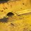 #4007-•-1998-komatsu-400lc-6-excavator-image-36