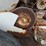 willmar-600-image-20
