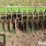 john-deere-400-image-15