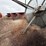 grain-bin---moses-lake,-wa-image-11