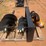 #t8610-•-wolverine-ss-auger-drive/bit-image-2
