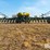 2015-john-deere-1775nt-image-12