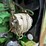 #45631-•-john-deere-4039t-4-cyl-power-unit-w/-trailer-t04039t441132-image-20