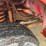 #4060-•-2008-ford-truck-(has-wi-title)-image-57