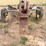 john-deere-12-image-5