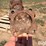 fairbanks-morse-fm-1-right-angle-gear-head-image-5