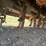 alloway-22-image-16