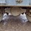 1995-gmc-topkick-c6500-image-27
