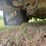1999-ford-f450-xl-image-21