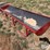behlen-bunk-feeder-image-4