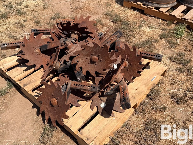 sunco-trash-whippers-image-2