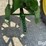 1936-john-deere-a-image-17