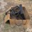 case-ih-600-image-4
