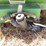 agri-products-400-image-11