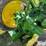 1947-john-deere-model-a-image-14