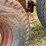 16’-livestock-trailer-image-14